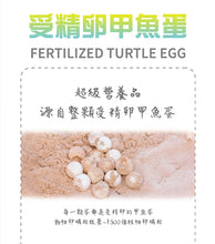 將圖片載入圖庫檢視器 Life+, Super Nutri Complex Nutrition Supplement(Dog), 生命膠囊甲魚蛋(狗用), 60pcs
