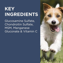 將圖片載入圖庫檢視器 PAW, OsteoCare, 關節健康咀嚼小食(中/大型犬)