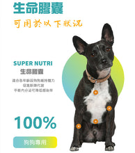 將圖片載入圖庫檢視器 Life+, Super Nutri Complex Nutrition Supplement(Dog), 生命膠囊甲魚蛋(狗用), 60pcs