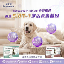 將圖片載入圖庫檢視器 RESVANTAGER,維蘆醇白藜蘆醇(狗)
