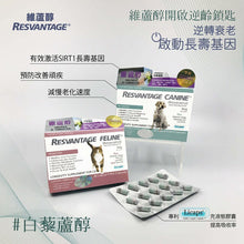 將圖片載入圖庫檢視器 RESVANTAGER,維蘆醇白藜蘆醇(狗)