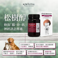 將圖片載入圖庫檢視器 KIWIVITAL,ENZOBOOST,寵物專用松樹醇腦神經醫學級配方保健粉,120g
