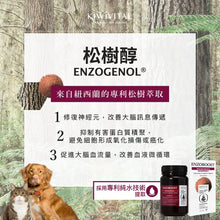 將圖片載入圖庫檢視器 KIWIVITAL,ENZOBOOST,寵物專用松樹醇腦神經醫學級配方保健粉,120g