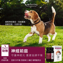 將圖片載入圖庫檢視器 KIWIVITAL,ENZOBOOST,寵物專用松樹醇腦神經醫學級配方保健粉,120g