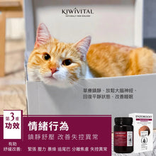 將圖片載入圖庫檢視器 KIWIVITAL,ENZOBOOST,寵物專用松樹醇腦神經醫學級配方保健粉,120g