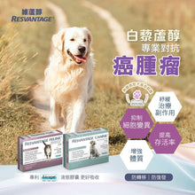 將圖片載入圖庫檢視器 RESVANTAGER,維蘆醇白藜蘆醇(狗)