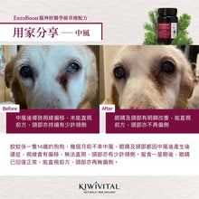 將圖片載入圖庫檢視器 KIWIVITAL,ENZOBOOST,寵物專用松樹醇腦神經醫學級配方保健粉,120g