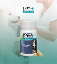 將圖片載入圖庫檢視器 PAW, Osteosupport, 關節護理補充膠囊(犬)