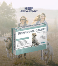 將圖片載入圖庫檢視器 RESVANTAGER,維蘆醇白藜蘆醇(狗)