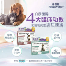 將圖片載入圖庫檢視器 RESVANTAGER,維蘆醇白藜蘆醇(貓)