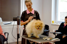 將圖片載入圖庫檢視器 True Iconic, Volume Maxi Bath, 蓬鬆活力洗毛液 - my物