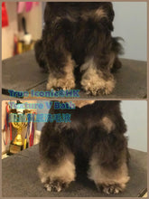 將圖片載入圖庫檢視器 True Iconic, Texture V Bath, 質感蓬鬆洗毛液 - my物