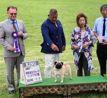 將圖片載入圖庫檢視器 True Iconic, Show Beauty Bath, 深層清潔亮白浴液 - my物