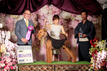 將圖片載入圖庫檢視器 True Iconic, R Texture Bath, 粗獷質感洗毛液 - my物