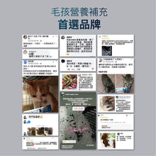 將圖片載入圖庫檢視器 Moreson 木入森, 貓咪排毛粉(貓草味), 30包