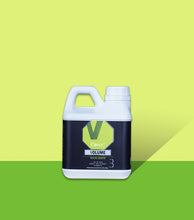 將圖片載入圖庫檢視器 True Iconic, Volume Maxi Bath, 蓬鬆活力洗毛液 - my物