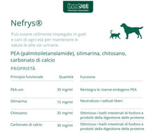 將圖片載入圖庫檢視器 Innovet 意諾膚, Nefrys 腎存, 強腎配方, 100ml - my物