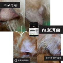 將圖片載入圖庫檢視器 Kiwivital, Olive Boost, 草療營養專家 - my物