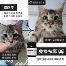 將圖片載入圖庫檢視器 Kiwivital, Olive Boost, 草療營養專家 - my物