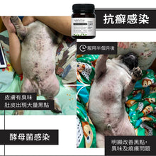 將圖片載入圖庫檢視器 Kiwivital, Olive Boost, 草療營養專家 - my物