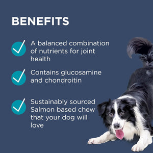 PAW, OsteoCare, 關節健康咀嚼小食（中/大型犬）
