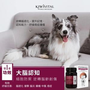 KIWIVITAL，ENZOBOOST，寵物專用松樹醇腦神經醫學級配方保健粉，120g