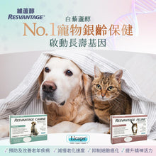 將圖片載入圖庫檢視器 RESVANTAGER，維蘆醇白藜蘆醇(狗)
