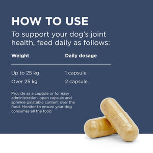 PAW, Osteosupport, 關節護理補充膠囊(犬)