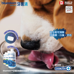 Bluestem Water Additive, 牙菌清濃縮潔齒水, 500ml