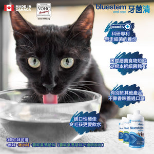 Bluestem Water Additive, 牙菌清濃縮潔齒水, 500ml