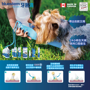 Bluestem Water Additive, 牙菌清濃縮潔齒水, 500ml