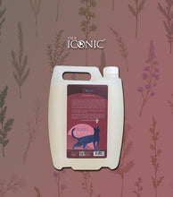 將圖片載入圖庫檢視器 True Iconic, Meow Gloss Shampoo, 貓膠原蛋白提亮洗毛液
