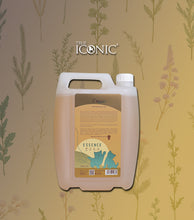 將圖片載入圖庫檢視器 True Iconic, Meow Essence Shampoo, 幼貓低敏蜂蜜洗毛液
