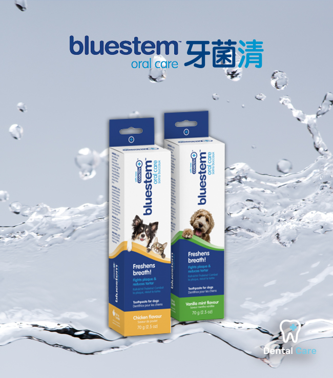 bluestem, 牙菌清牙膏, 70g