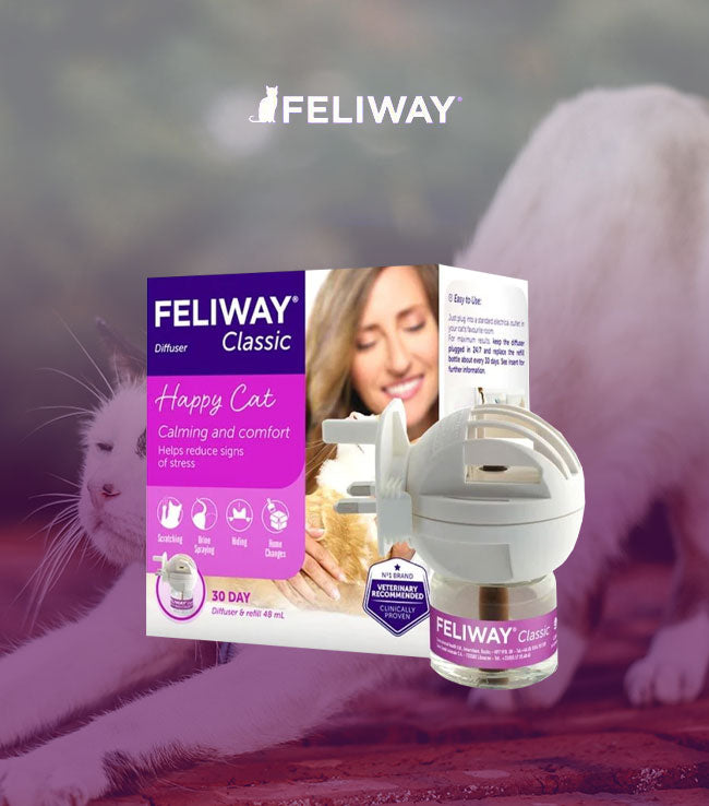 FELIWAY, 貓咪費洛蒙情緒安定香薰插頭套裝