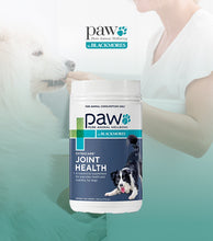 將圖片載入圖庫檢視器 PAW, OsteoCare, 關節健康咀嚼小食（中/大型犬）
