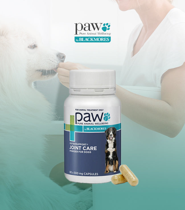 PAW, Osteosupport, 關節護理補充膠囊(犬)