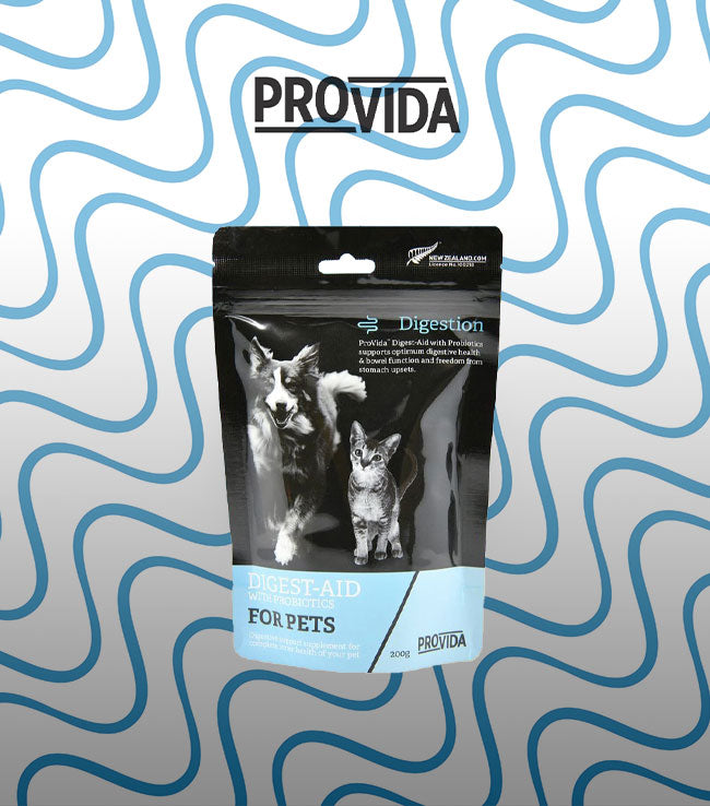 PROVIDA®，寵物玻璃肚救星