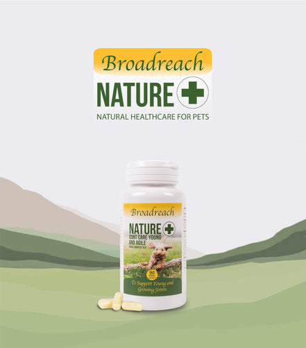 Broadreach Nature+, Young And Agile Joint Care, 年輕關節發展, (半歲至2歲以下犬隻專用 ), 90粒 - my物