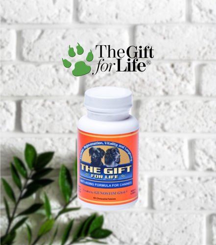 The Gift For Life 大長生, Canine One Month Supply (Dogs), 全天然抗衰老配方 - (犬隻專用) 60 粒 - my物