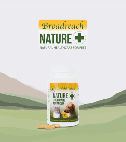Broadreach Nature+, Liver Care Advanced, 腎臟及肝臟護理丸, 90粒 - my物
