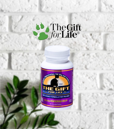 The Gift For Life 大長生, Canine One Month Supply (Cats), 全天然抗衰老配方 - (貓隻專用) 60 粒 - my物