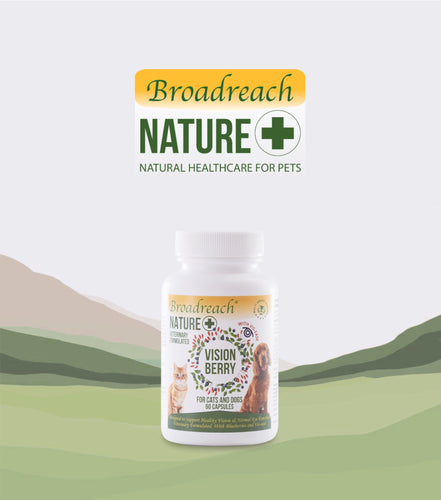Broadreach Nature+, Vision Berry, (Cats & Dogs)(Capsules), 眼睛護理(貓/犬隻專用)(膠囊), 60粒 - my物