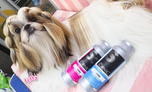 True Iconic, Show Beauty Care, 秀亮潤濕護毛素 - my物