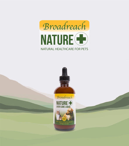 Broadreach Nature+, Liver Care Liquid, 腎臟及肝臟護理液, 120ml - my物