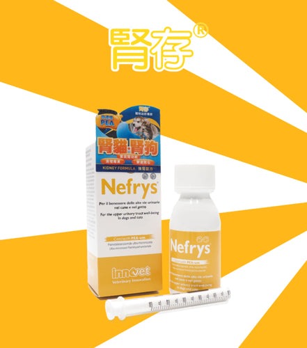 Innovet 意諾膚, Nefrys 腎存, 強腎配方, 100ml - my物