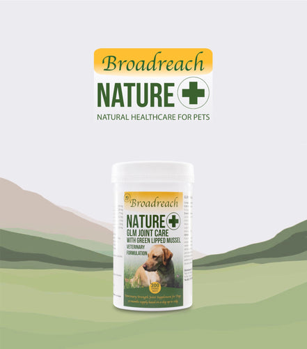 Broadreach Nature+, GLM Joint Care With Green Lipped Mussel (Dogs), GLM 關節及強健骨格(犬隻專用) - my物