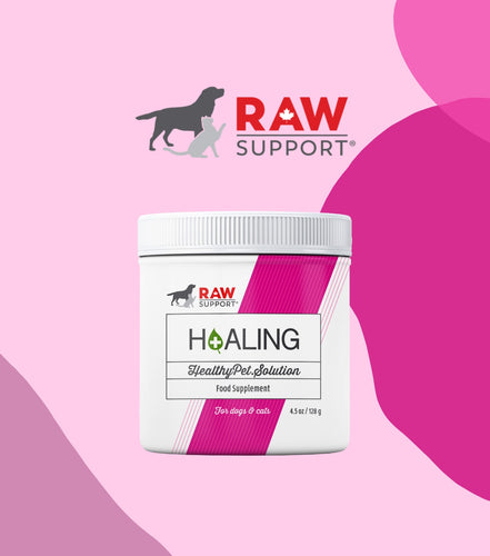 Raw Support (Holistic Blend), L-lysine & Cranberry Powder, 貓狗用賴氨酸小紅莓粉,128g - my物