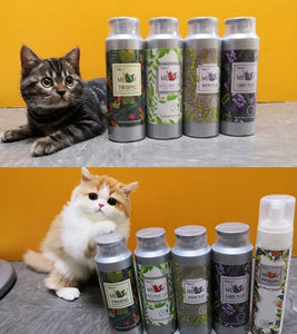 True Iconic, Volume Up Cat Bath, 豐盈躍動洗毛液 - my物
