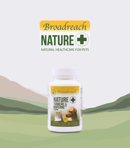 Broadreach Nature+, Turmeric & Bioperine, 薑黃及維生素, 60粒 - my物